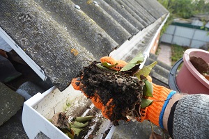 Gutter Maintenance London