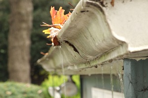 Gutter Installation London